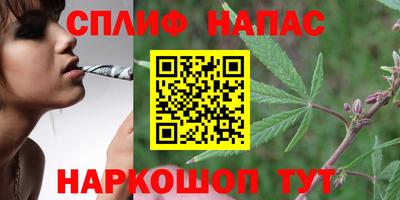 гашик Можайск