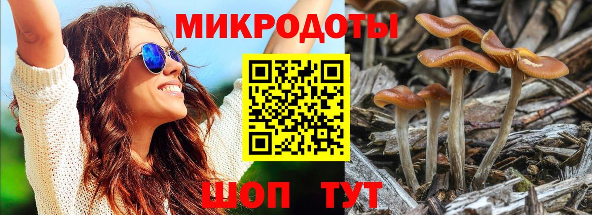 Вышний Волочёк  Псилоцибиновые грибы Psilocybe  Вход с VPN  Псилоцибиновые грибы ЛСД 