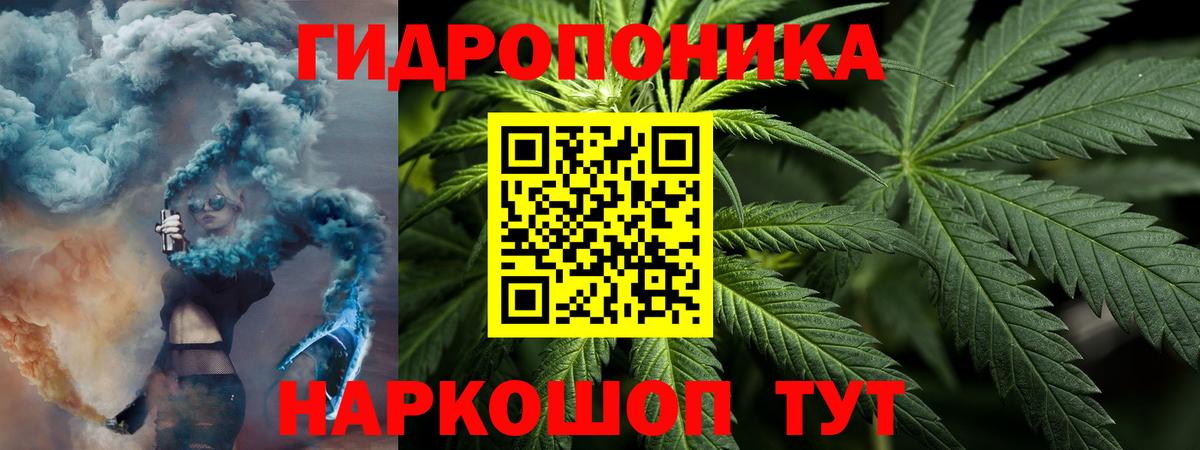 Бошки марихуана OG Kush Вышний Волочёк